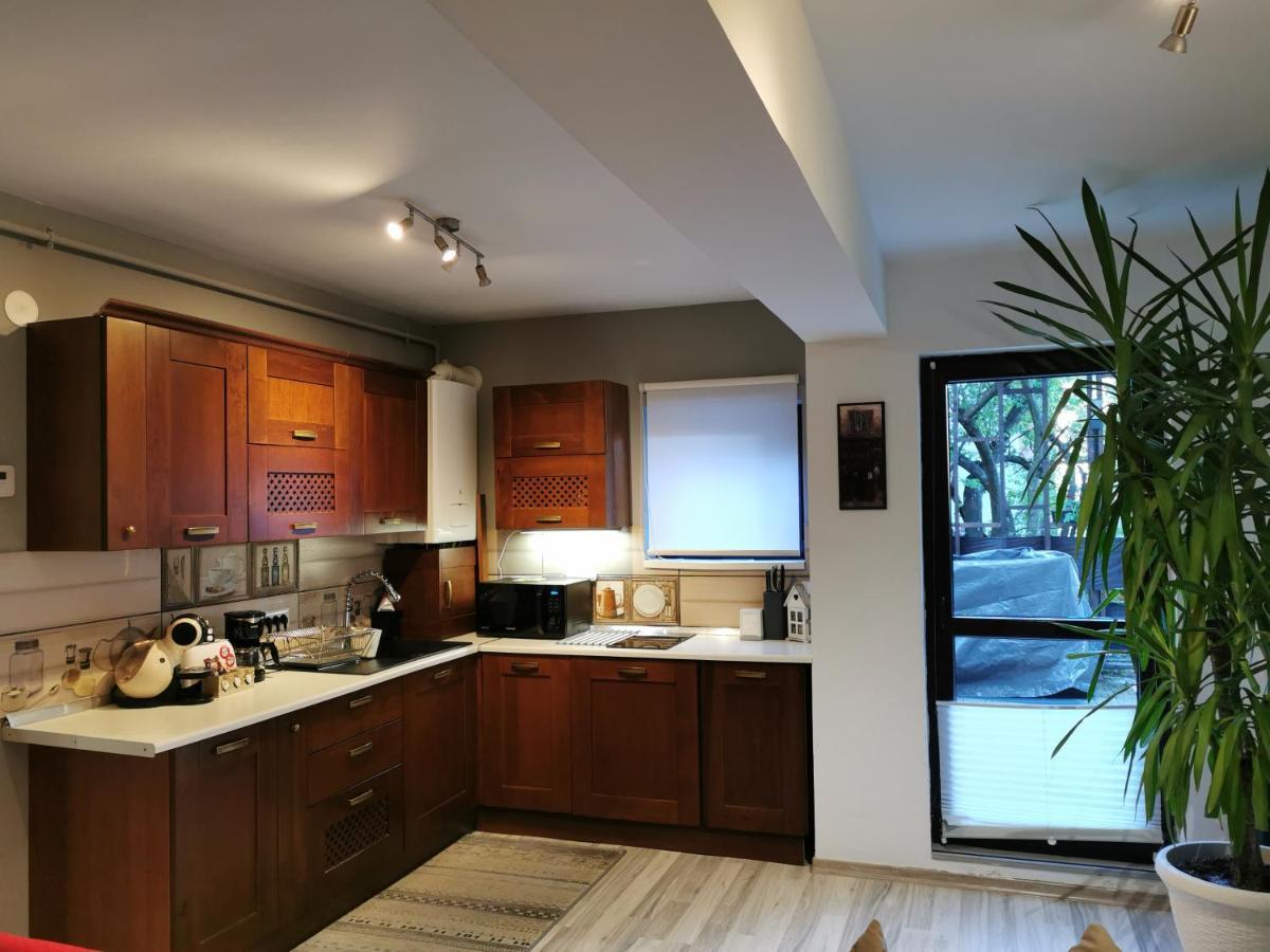 Apartament Kalinderu K2 Busteni Luaran gambar