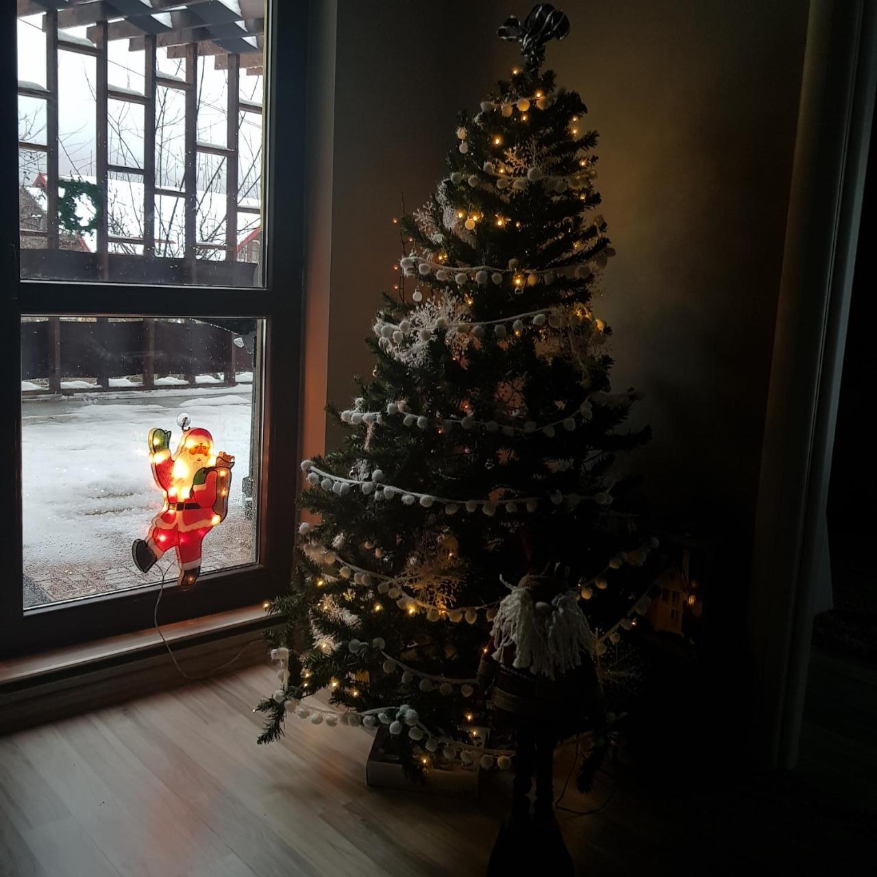 Apartament Kalinderu K2 Busteni Luaran gambar
